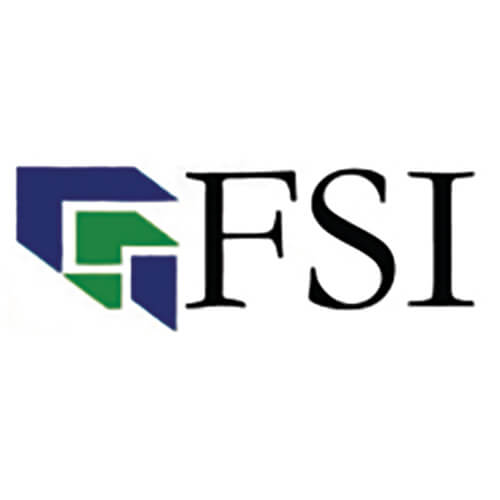 FSI logo